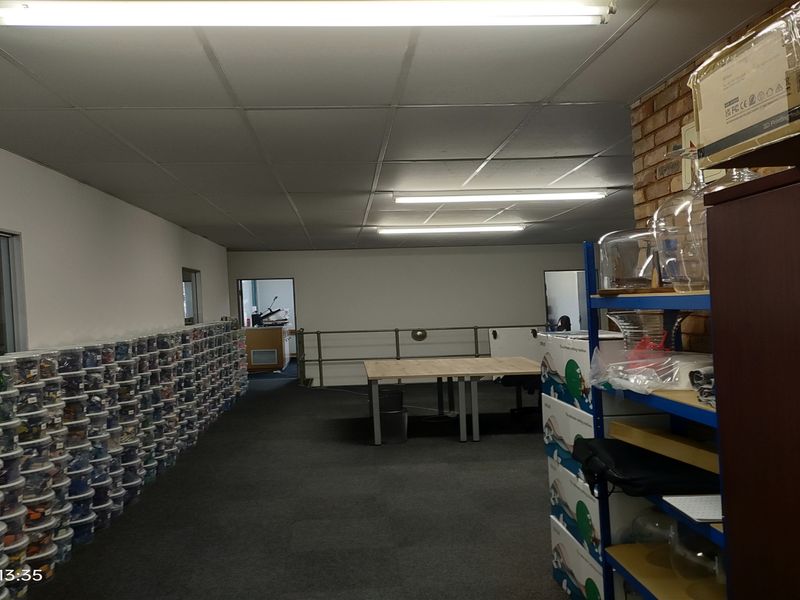 353m2  Warehouse  - TO LEASE - Photo 6