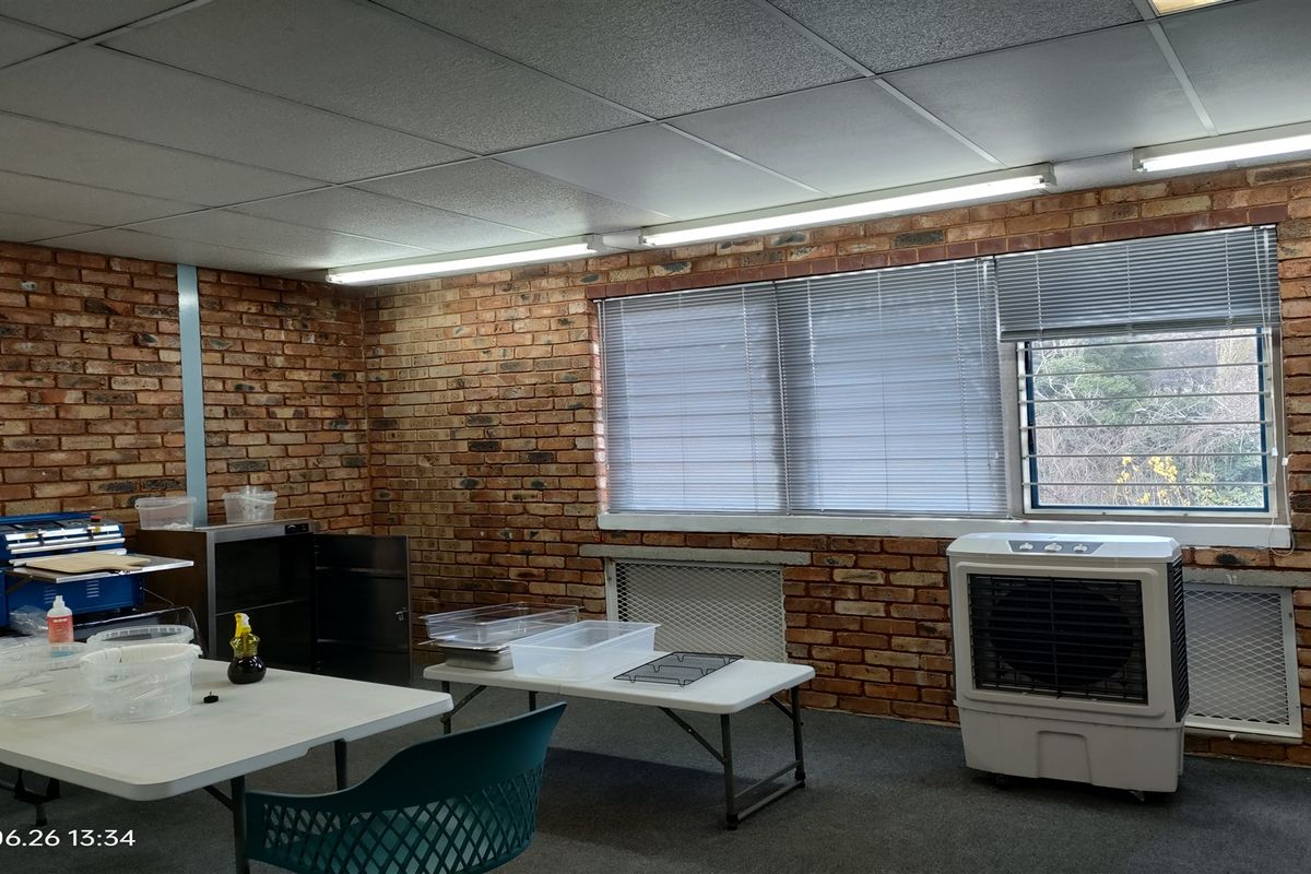 353m2  Warehouse  - TO LEASE - Photo 4