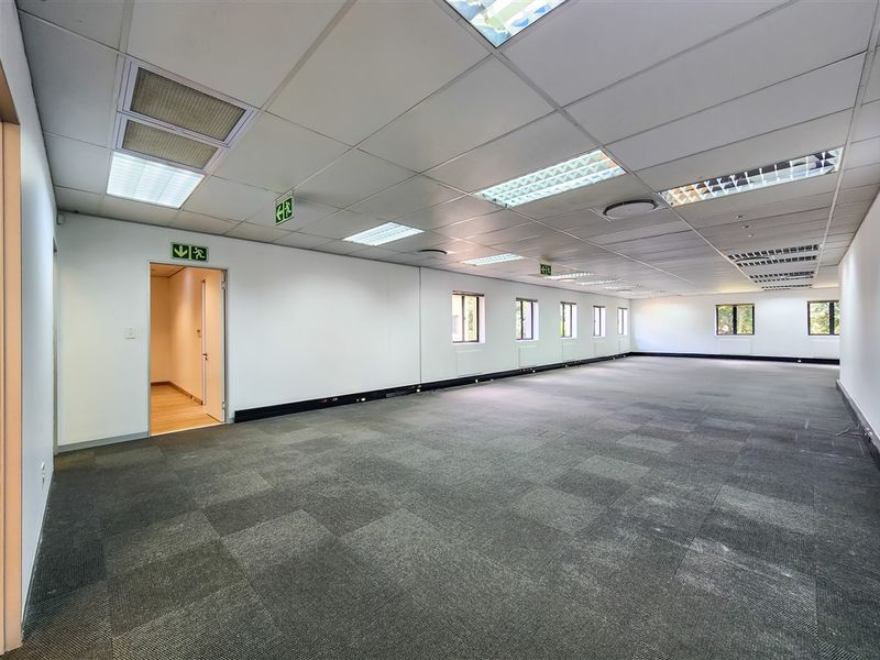 A spacious, empty open-plan office area featuring suspended ceilings, recessed lighting, and carpet tile flooring, suitable for flexible workspace configurations.
