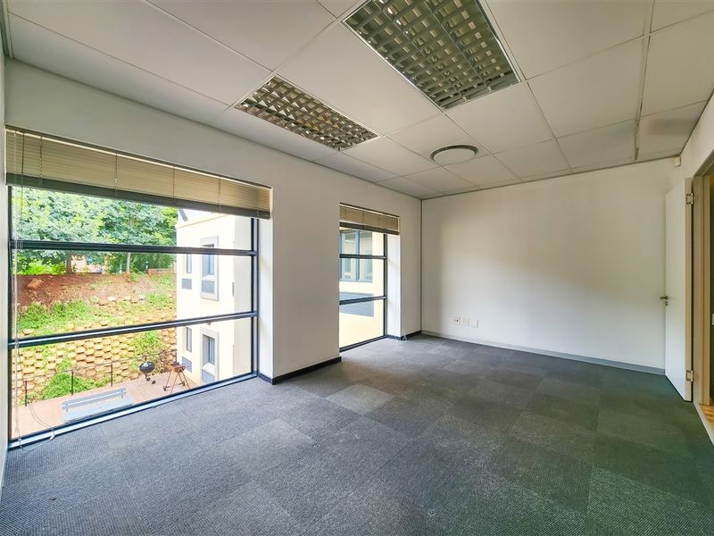 A bright, empty office space featuring carpet tiles, a suspended ceiling with recessed lighting, and large windows providing natural light and exterior views.