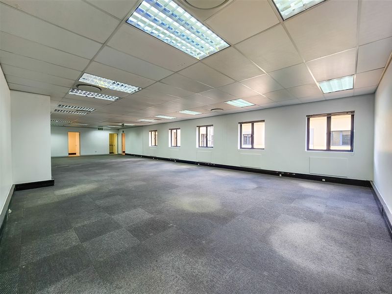 A spacious, open-plan office area featuring a suspended ceiling with recessed lighting, carpeted flooring, and multiple windows providing natural light.