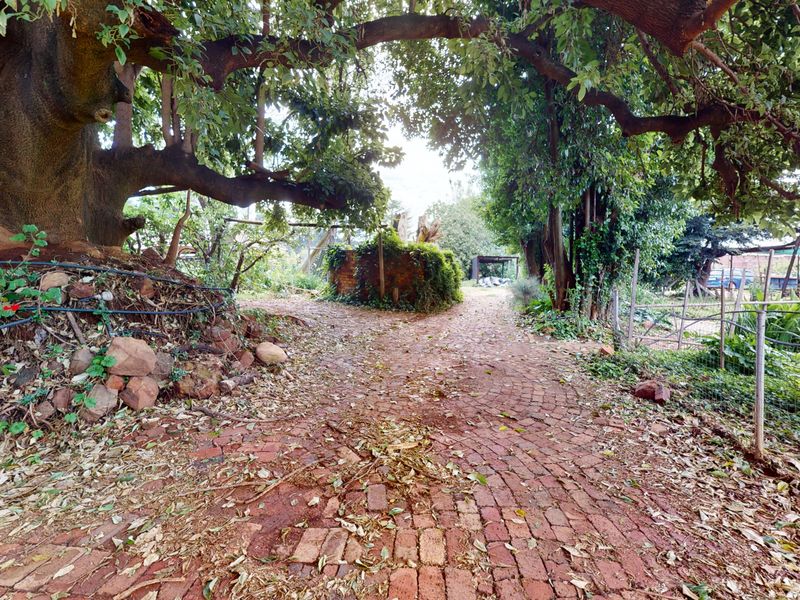 Prime Agricultural Investment with High Rental Income & Endless Potential - Photo 10