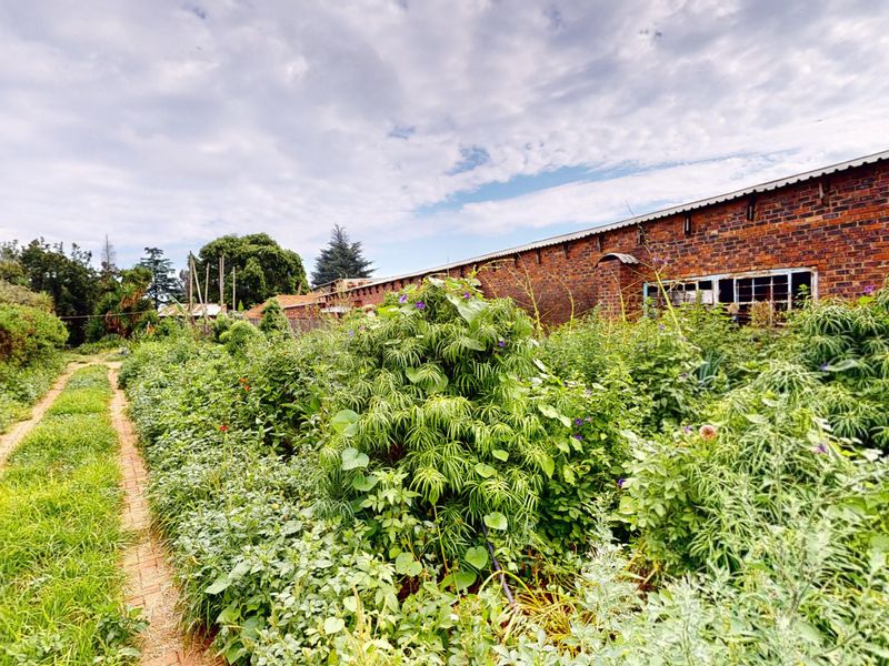 Prime Agricultural Investment with High Rental Income & Endless Potential - Photo 3