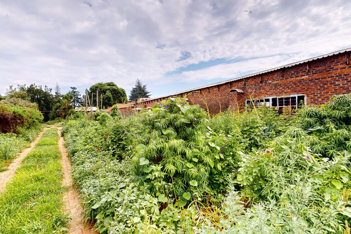 Prime Agricultural Investment with High Rental Income & Endless Potential - Photo 3