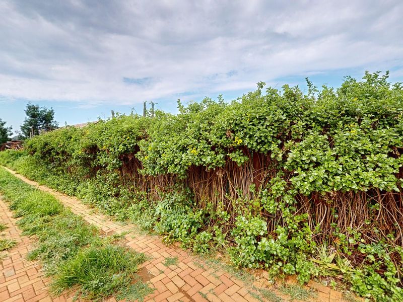 Prime Agricultural Investment with High Rental Income & Endless Potential - Photo 5