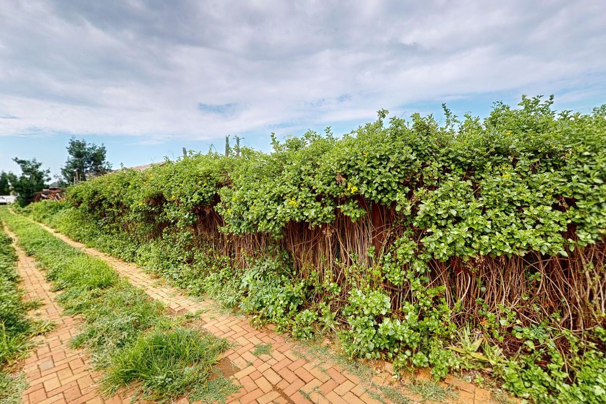 Prime Agricultural Investment with High Rental Income & Endless Potential - Photo 5