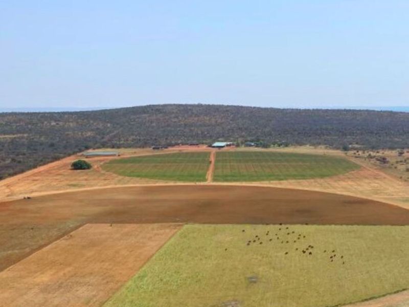 Exceptional Game and Pecan Farm - Luxury Living Meets Agricultural Excellence - Photo 1