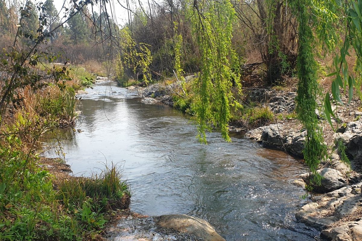 WATERSTONE ESTATE... Ideal Commercial Fish Farm... Agricultura, Livestock, Geared for EcoTourism. - Photo 5