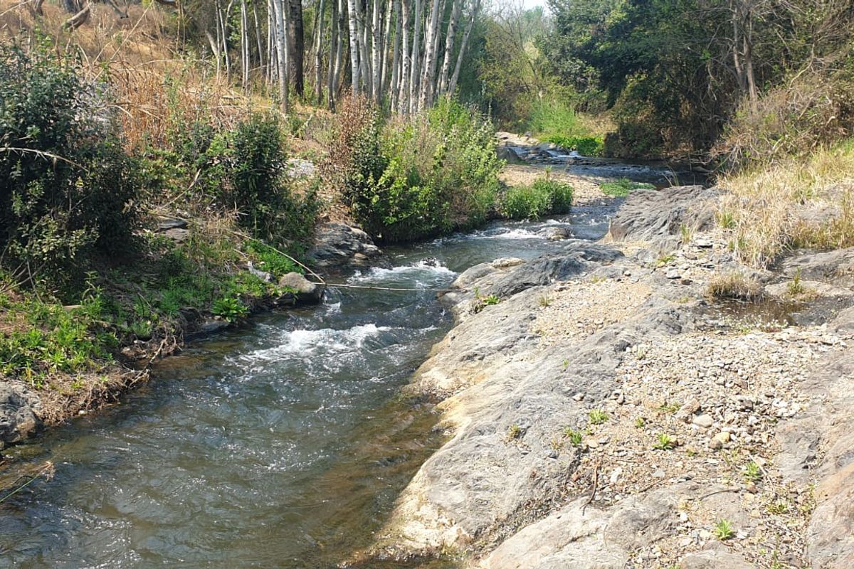 WATERSTONE ESTATE... Ideal Commercial Fish Farm... Agricultura, Livestock, Geared for EcoTourism. - Photo 4