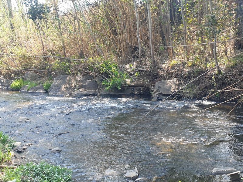A scenic view of a natural flowing stream with rocky banks and surrounding native vegetation on the farm property.