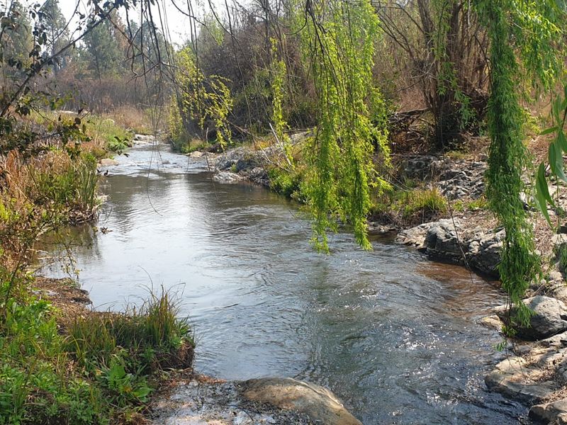 A scenic view of a natural stream flowing through the property, featuring rocky banks and surrounding native vegetation.
