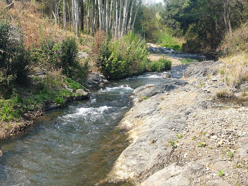 A scenic view of a natural flowing stream with rocky banks and surrounding trees, highlighting the tranquil landscape of the farm property.