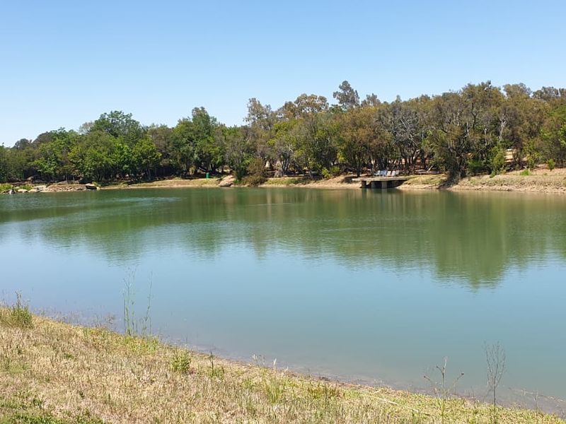 A scenic view of a large farm dam surrounded by mature trees and natural vegetation.