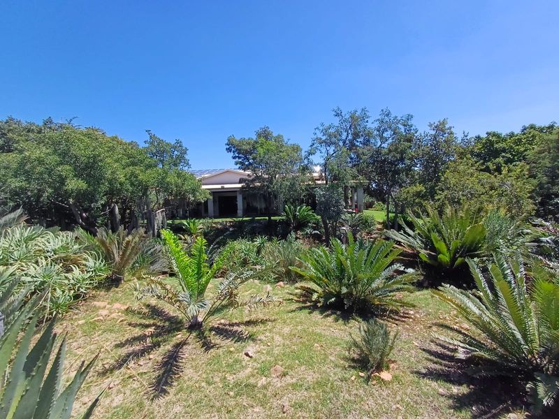 🌿 200ha Farm for Sale – Game Breeding & Nature Conservation Paradise! 🌿 - Photo 3