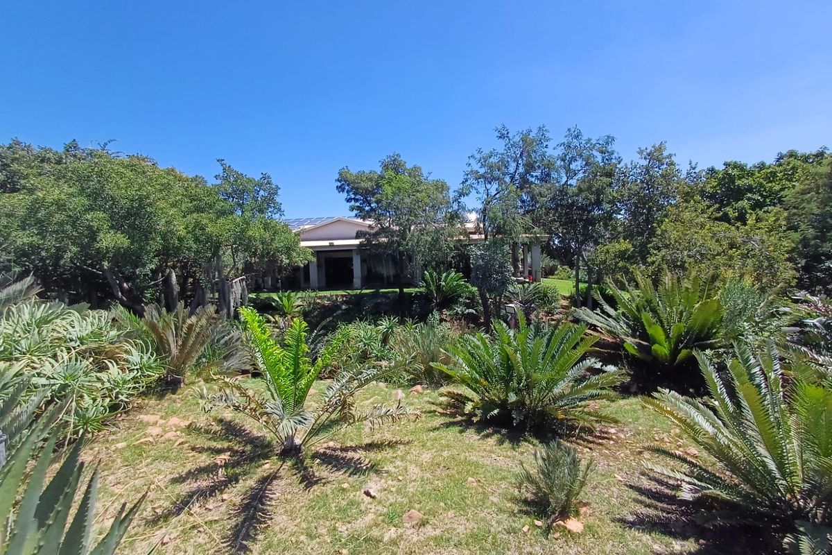 🌿 200ha Farm for Sale – Game Breeding & Nature Conservation Paradise! 🌿 - Photo 3
