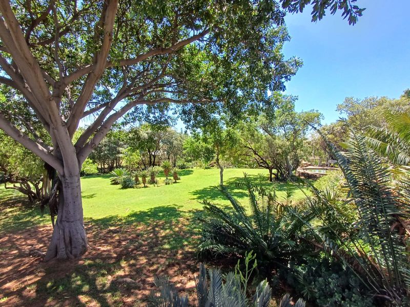 🌿 200ha Farm for Sale – Game Breeding & Nature Conservation Paradise! 🌿 - Photo 2