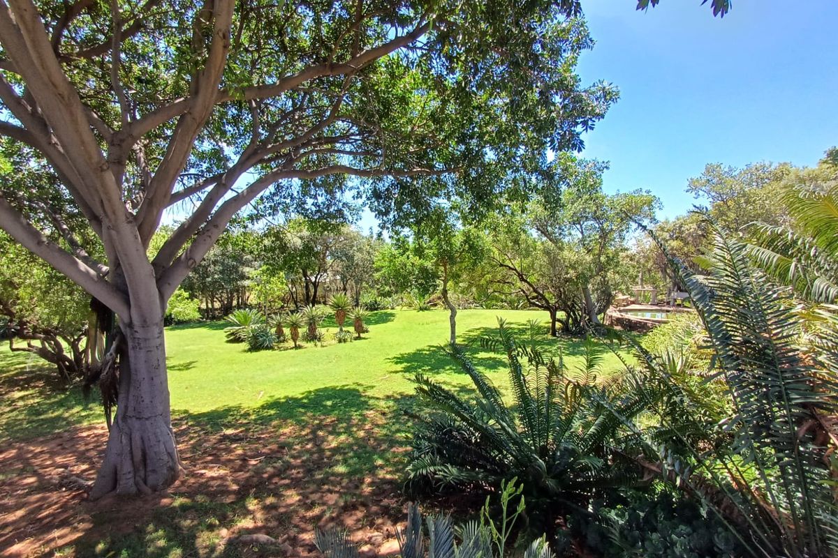 🌿 200ha Farm for Sale – Game Breeding & Nature Conservation Paradise! 🌿 - Photo 2