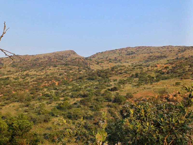 🌿 200ha Farm for Sale – Game Breeding & Nature Conservation Paradise! 🌿 - Photo 5