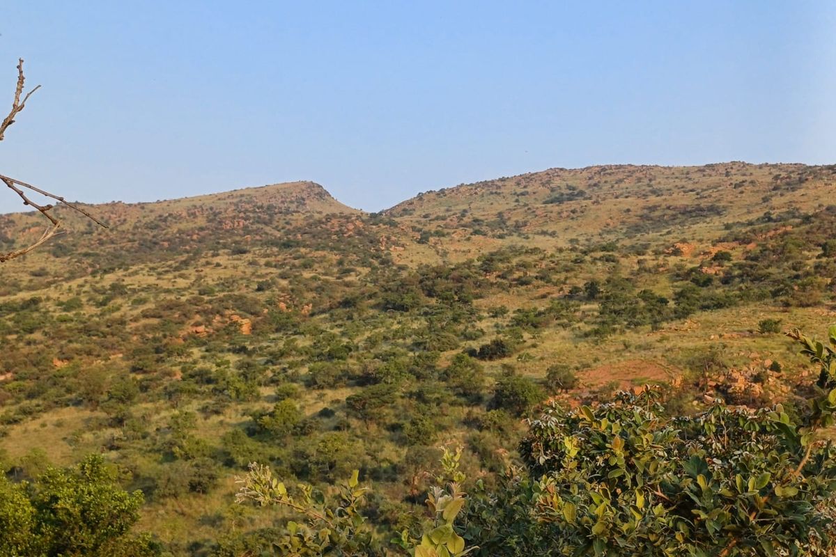 🌿 200ha Farm for Sale – Game Breeding & Nature Conservation Paradise! 🌿 - Photo 5