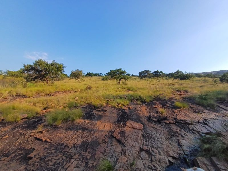 🌿 200ha Farm for Sale – Game Breeding & Nature Conservation Paradise! 🌿 - Photo 9