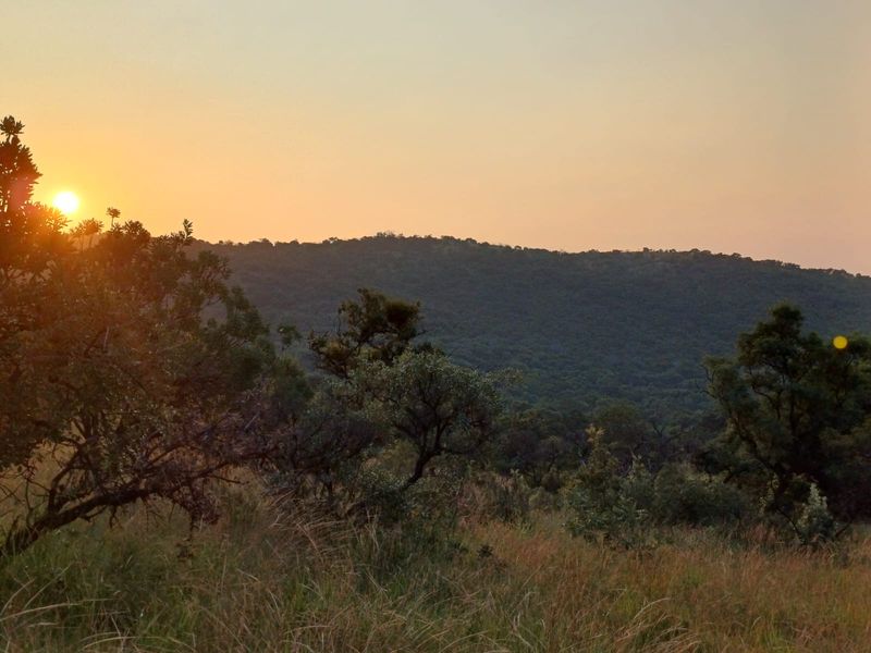 🌿 200ha Farm for Sale – Game Breeding & Nature Conservation Paradise! 🌿 - Photo 7