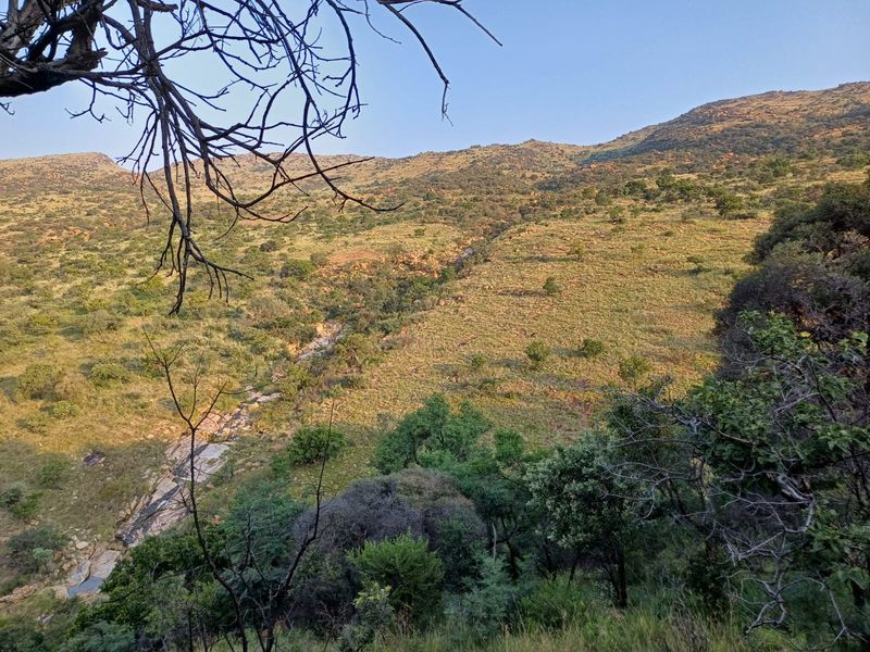 🌿 200ha Farm for Sale – Game Breeding & Nature Conservation Paradise! 🌿 - Photo 6