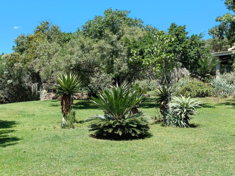 🌿 200ha Farm for Sale – Game Breeding & Nature Conservation Paradise! 🌿 - Photo 4