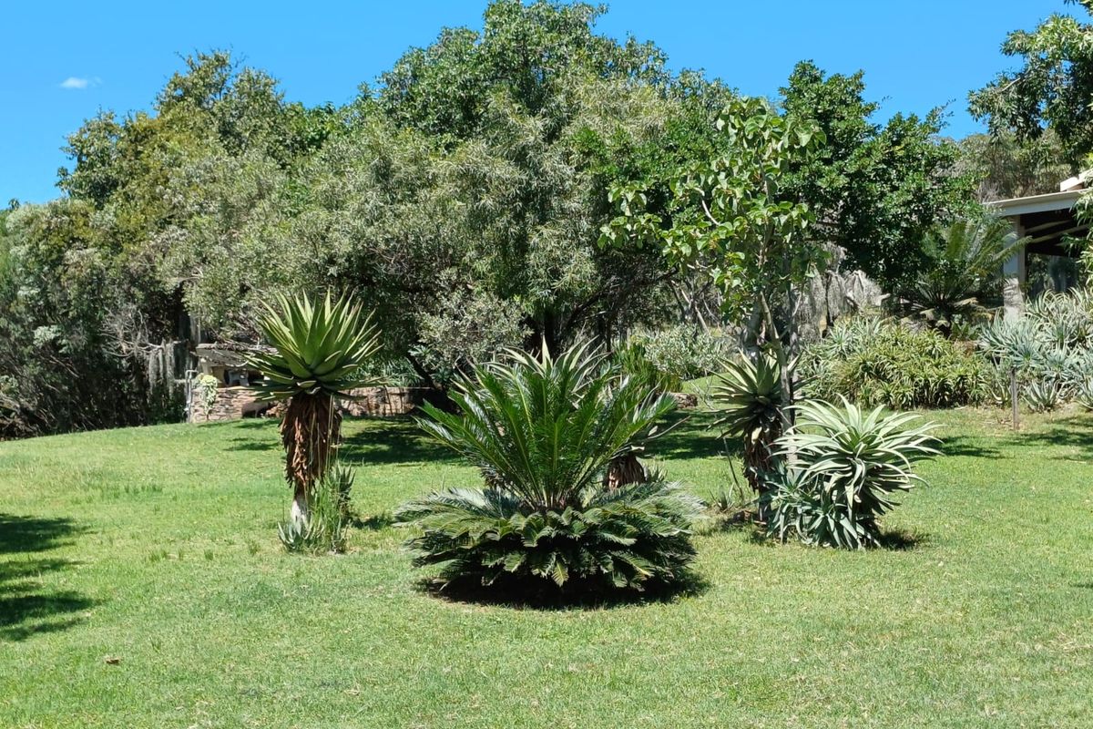 🌿 200ha Farm for Sale – Game Breeding & Nature Conservation Paradise! 🌿 - Photo 4