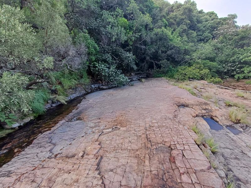 🌿 200ha Farm for Sale – Game Breeding & Nature Conservation Paradise! 🌿 - Photo 10