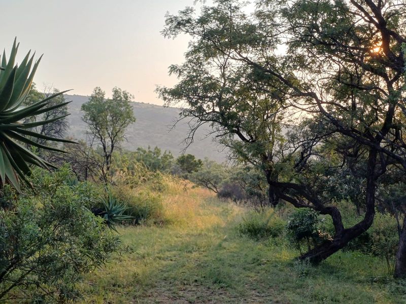 🌿 200ha Farm for Sale – Game Breeding & Nature Conservation Paradise! 🌿 - Photo 8