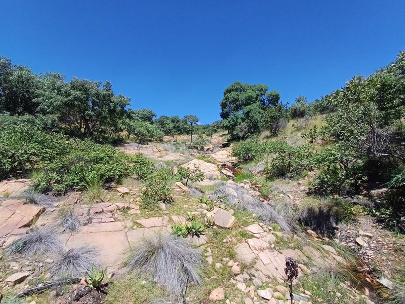 A scenic view of the natural landscape featuring rocky outcrops, indigenous trees, and native vegetation on a sloped terrain.