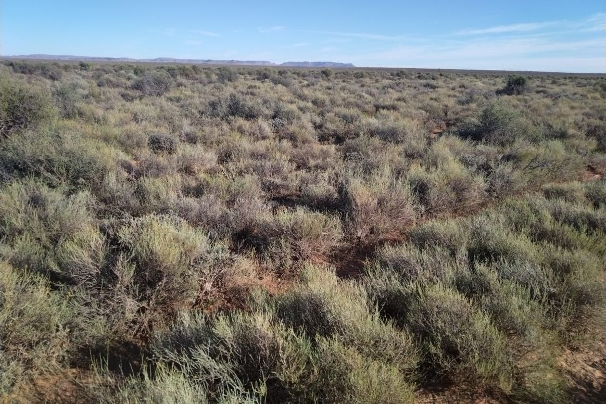 Expansive view of the natural veld landscape, showcasing the open terrain and native vegetation characteristic of the farm property.