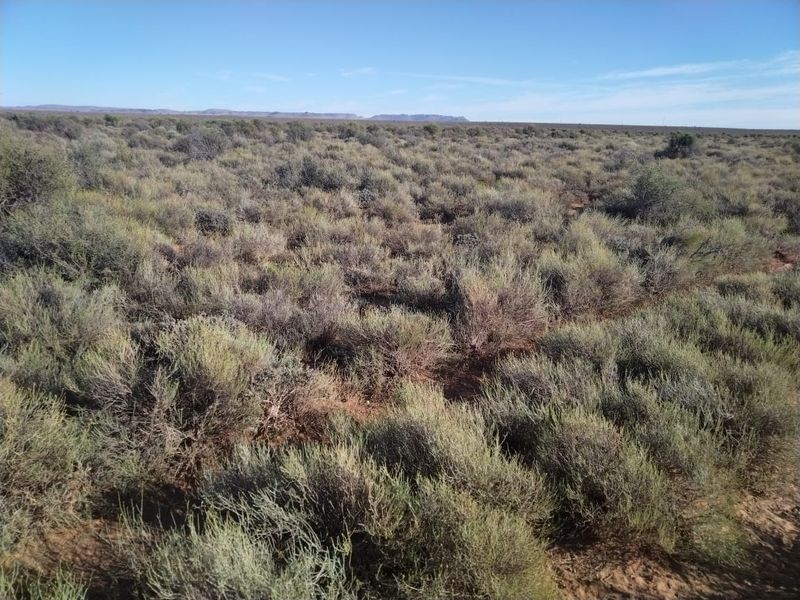 Expansive view of the natural veld landscape, showcasing the open terrain and native vegetation characteristic of the farm property.