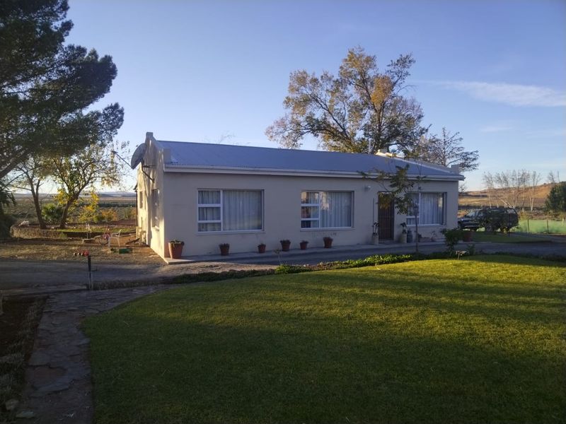A view of the rear elevation of a farm-style dwelling featuring a metal roof, aluminum windows, and a well-maintained lawn area.