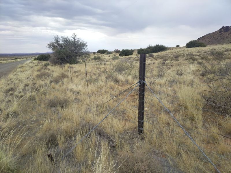 A view of the farm landscape featuring wire fencing along a gravel road, set against a natural, open field backdrop.