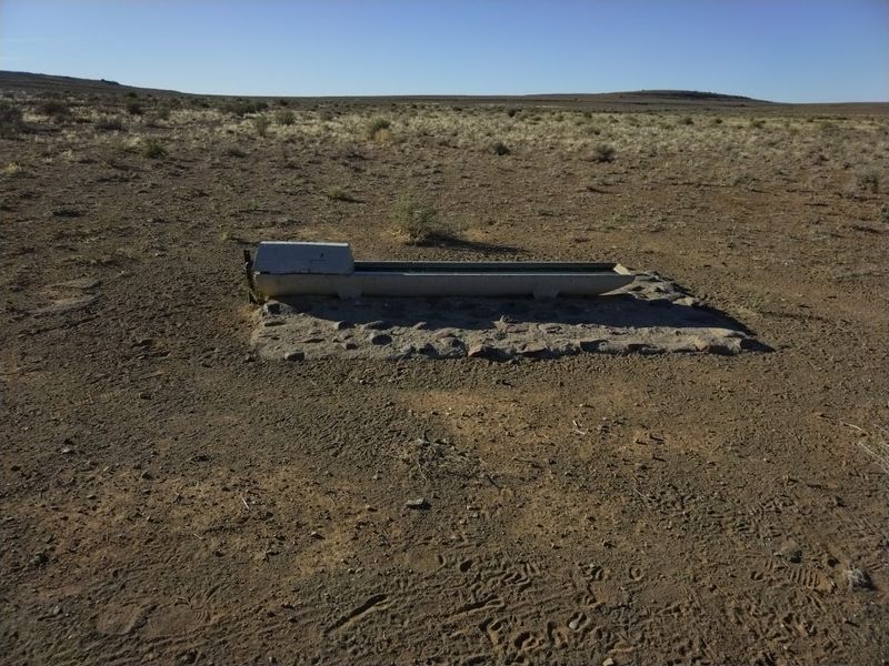 A functional concrete livestock water trough set on a stone masonry base located in an open farm field.