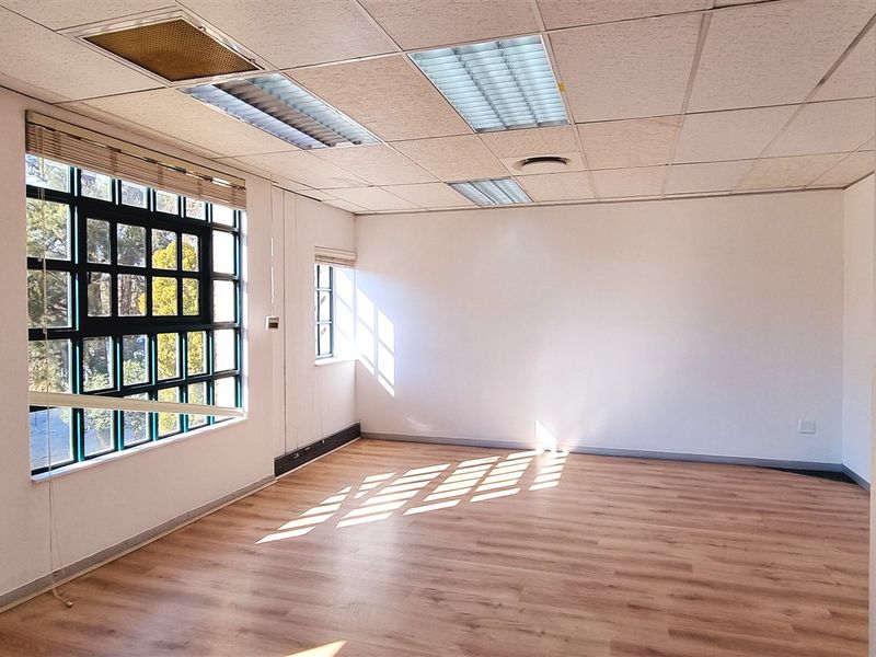 A vacant office space featuring laminate flooring, suspended ceilings with recessed lighting, and large steel-framed windows with natural light.