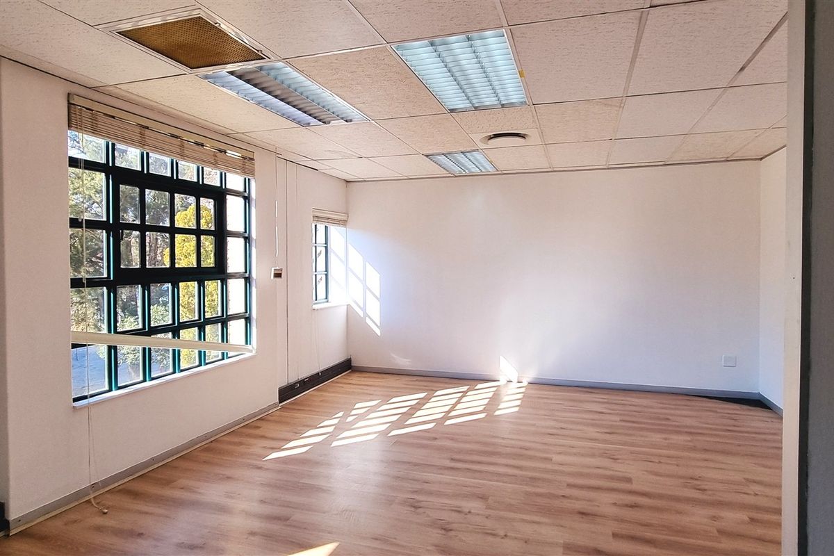 A vacant office space featuring laminate flooring, suspended ceilings with recessed lighting, and large steel-framed windows with natural light.