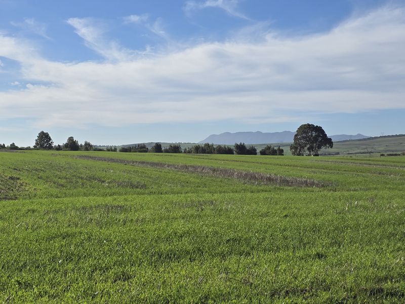 Vacant farm land for sale in Paardeberg - Photo 8