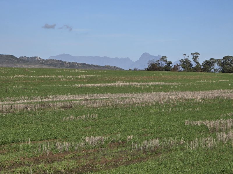 Vacant farm land for sale in Paardeberg - Photo 7