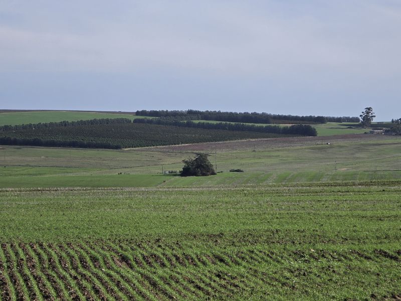 Vacant farm land for sale in Paardeberg - Photo 9