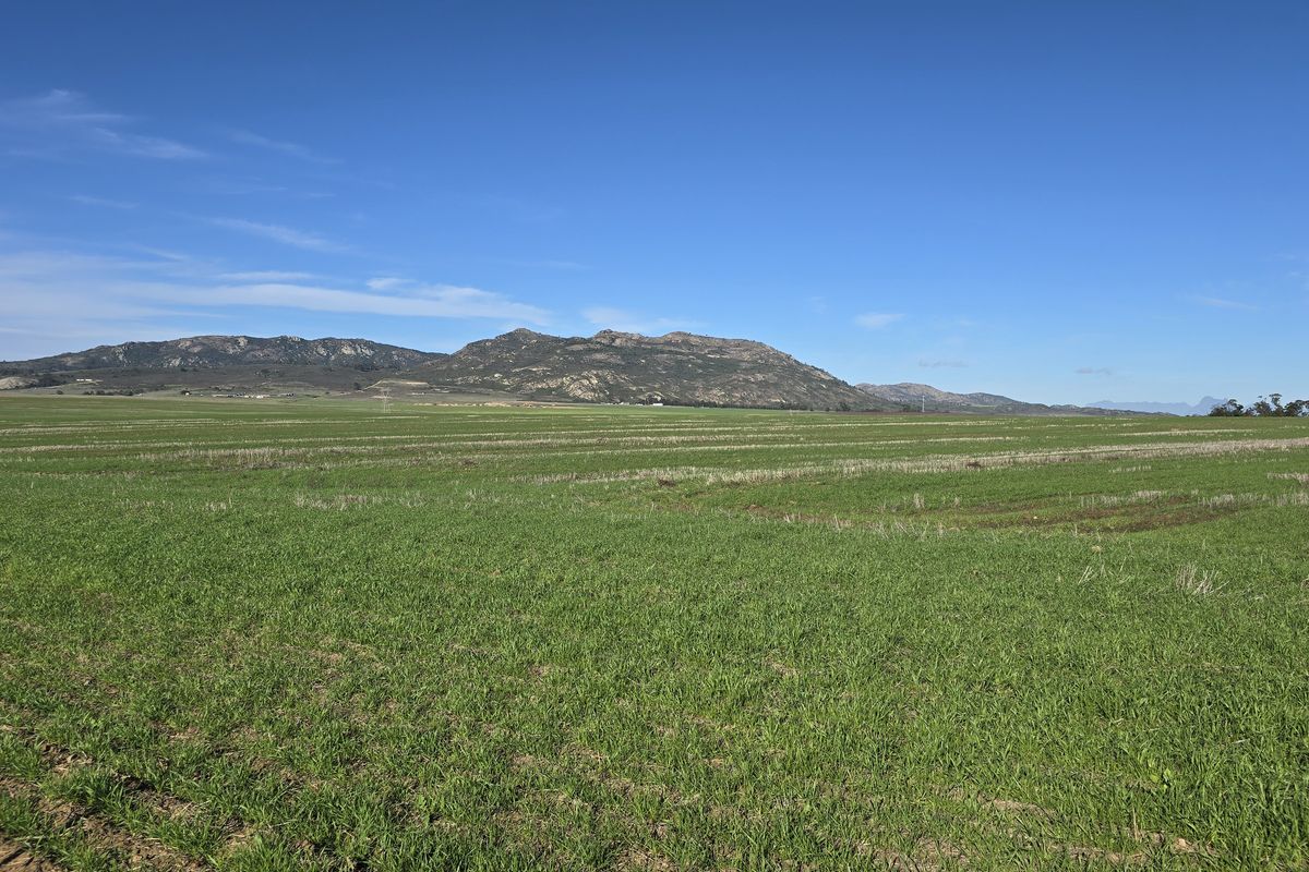Vacant farm land for sale in Paardeberg - Photo 5