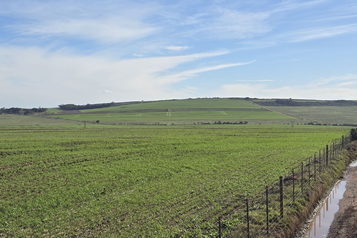 Vacant farm land for sale in Paardeberg - Photo 4