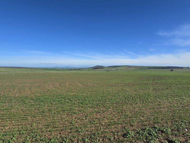 Vacant farm land for sale in Paardeberg - Photo 10