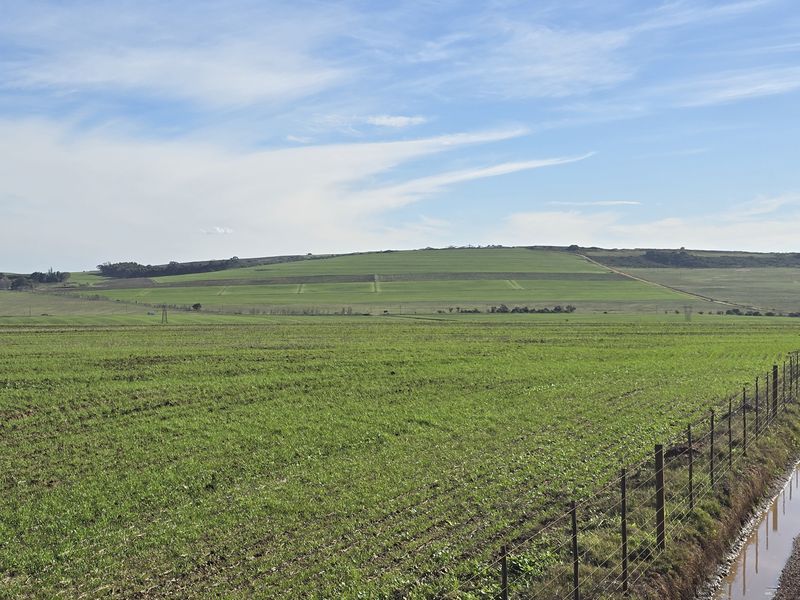 Vacant farm land for sale in Paardeberg - Photo 4