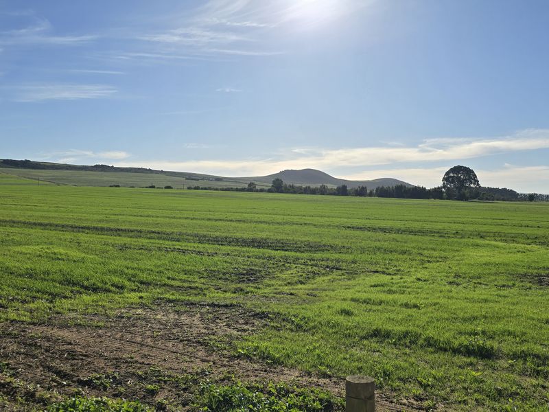 Vacant farm land for sale in Paardeberg - Photo 1
