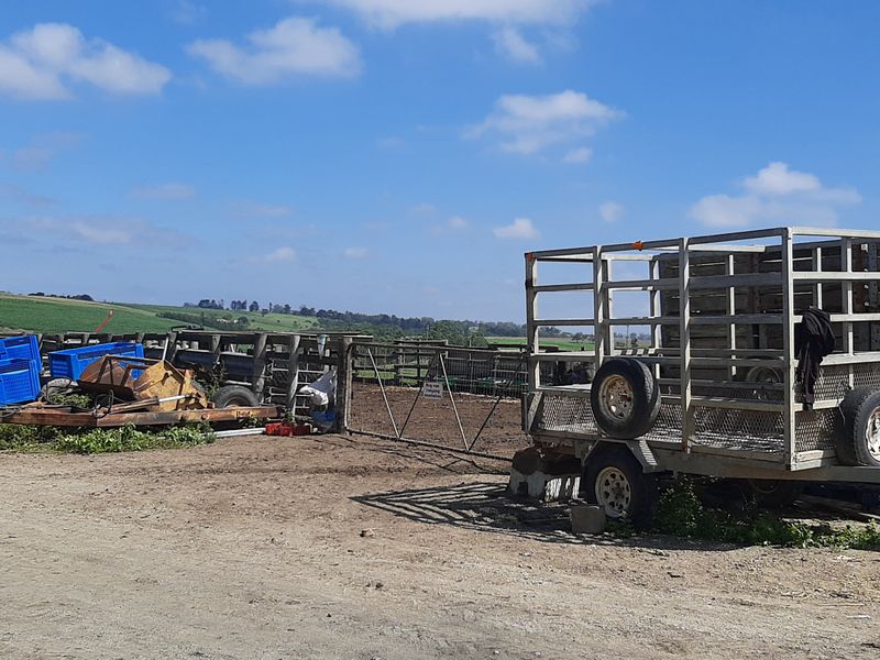 Farm For Sale In George - Photo 10