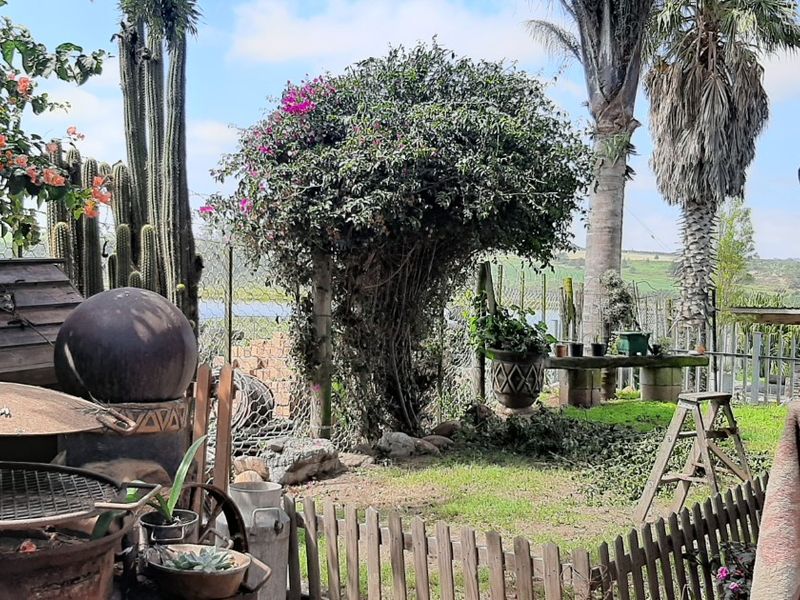 Farm For Sale In George - Photo 4