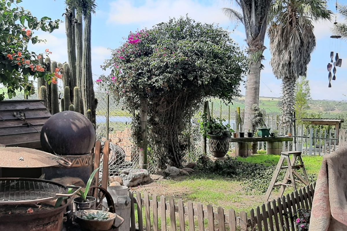 Farm For Sale In George - Photo 4