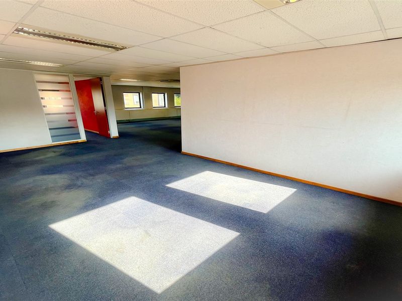 An empty, open-plan office space featuring a suspended ceiling with recessed lighting and blue carpeting throughout.